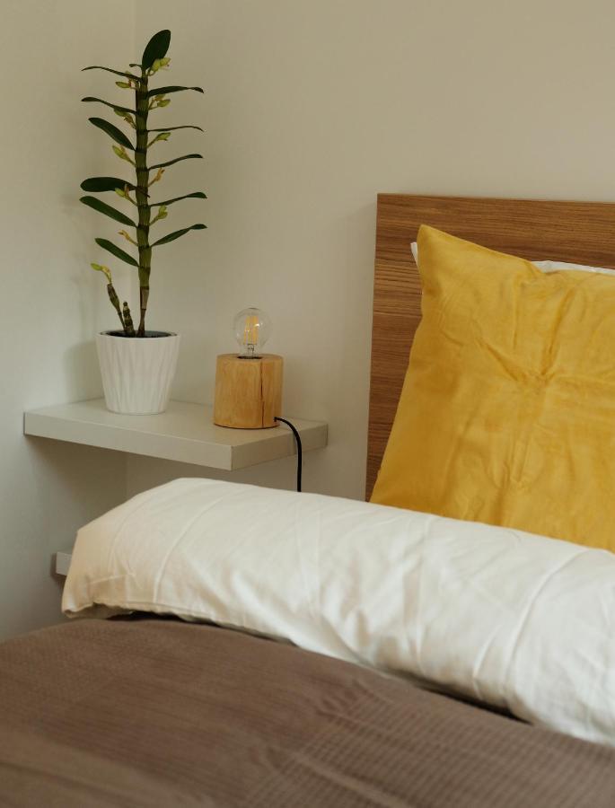 Apartamenty Rebergen W Kompleksie Apartamenty Piano Świeradów-Zdrój 외부 사진